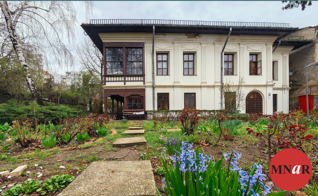 muzeul theodor pallady