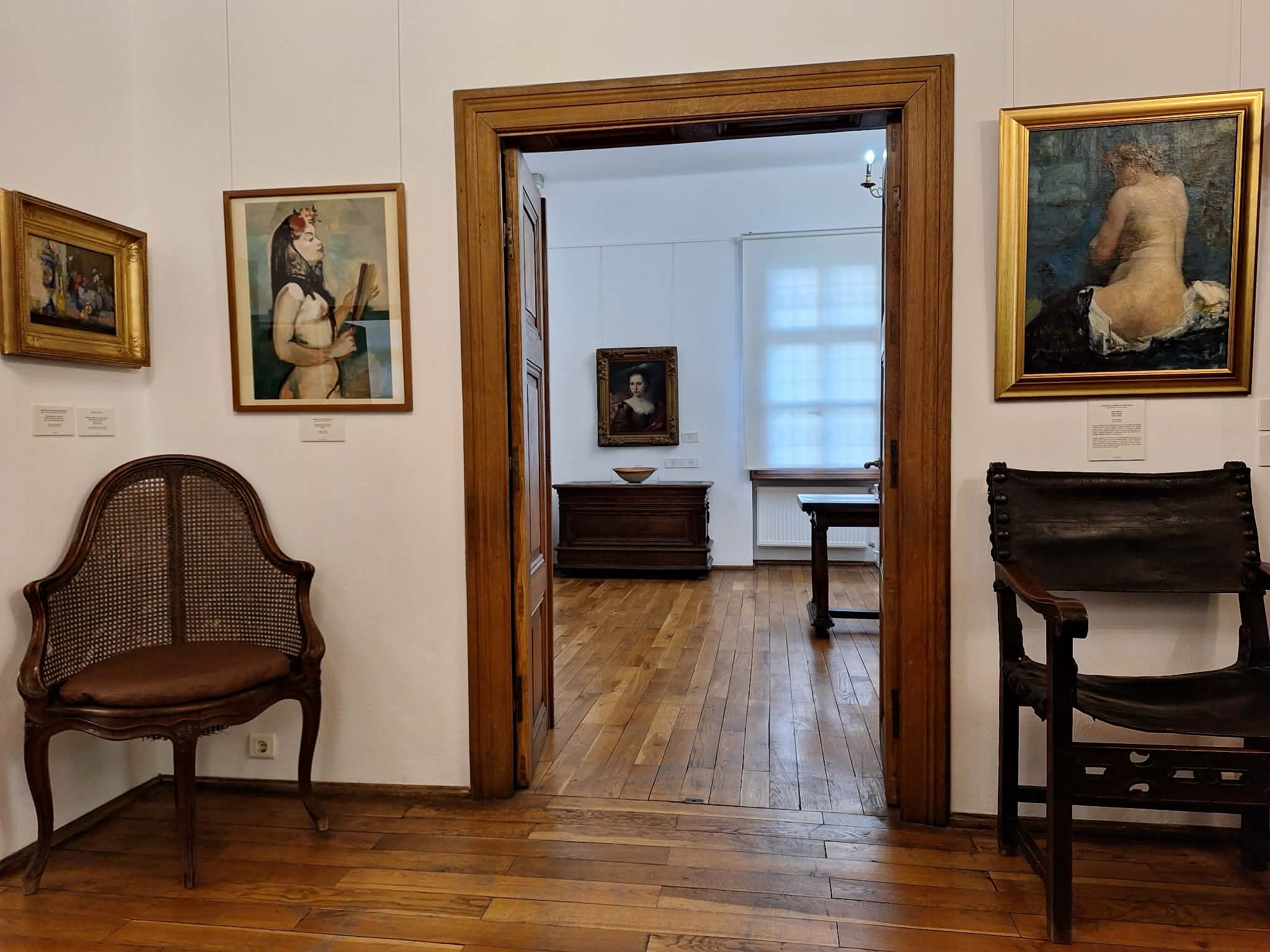 muzeul theodor pallady7, curatorial