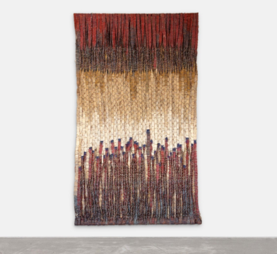 olga de amaral, riscos calizos, 1983