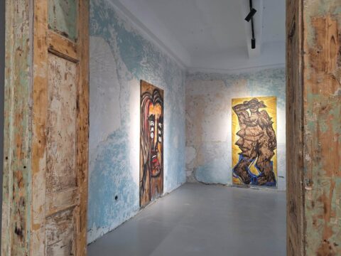 santier5 dumitru gorzo, curatorial