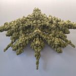 suprafata4, bianca mann, curatorial