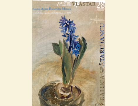 afis expo raluca spătaru iancu 2026