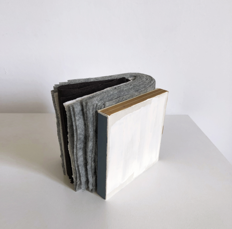 lucrare adelina ivan