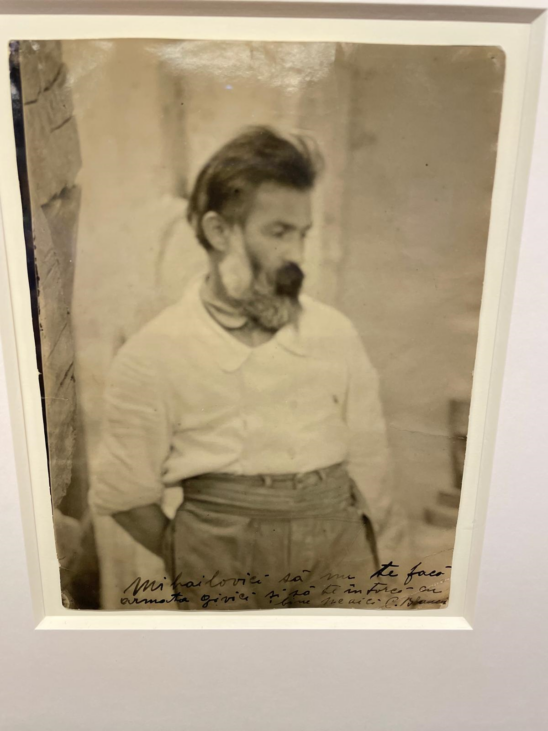 brancusi, photographs by constantin brancusi, mare, curatorial