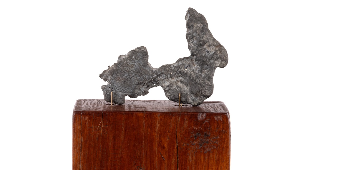 constantin brâncuși la crocodile