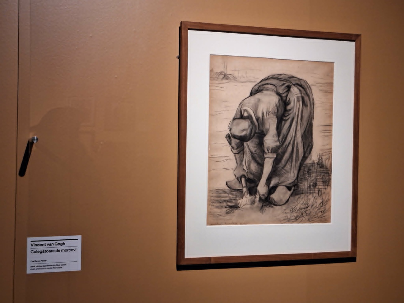 culegatoare de morcovi3, curatorial