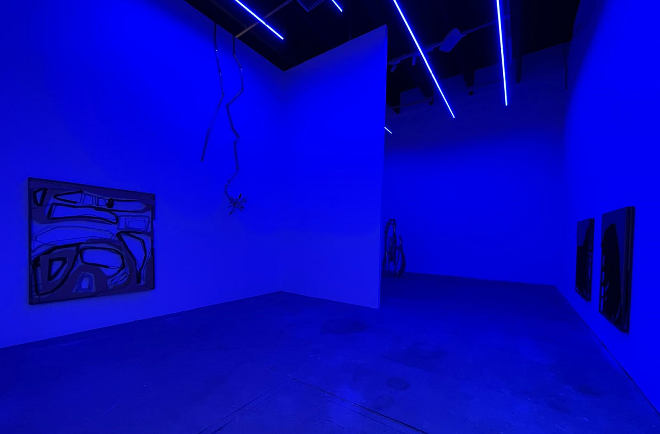 indrikis gelzis, suprainfinit, curatorial