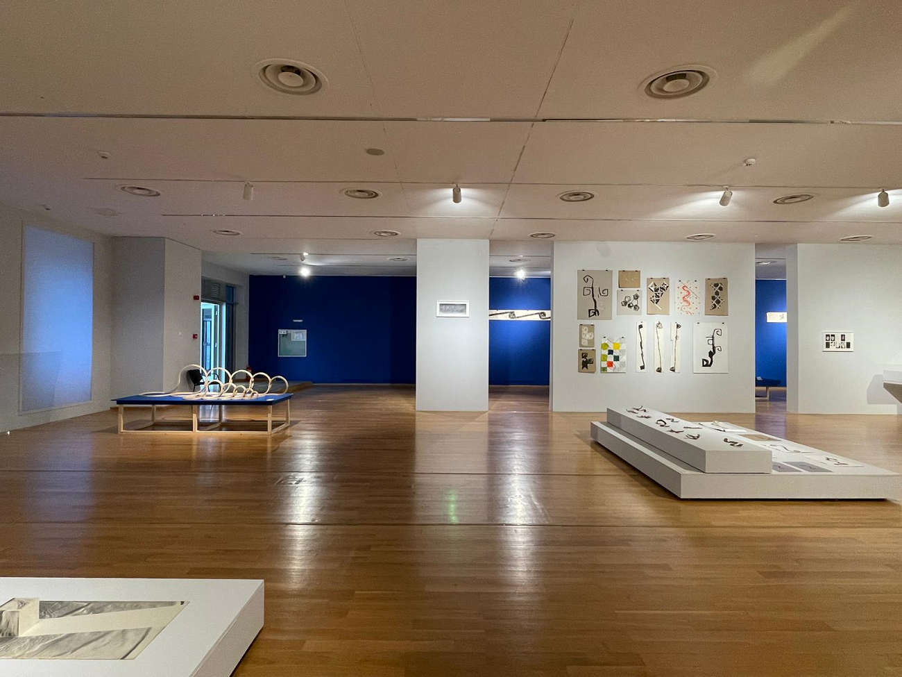 laurențiu ruță, revelare continuă, mnac, curatorial