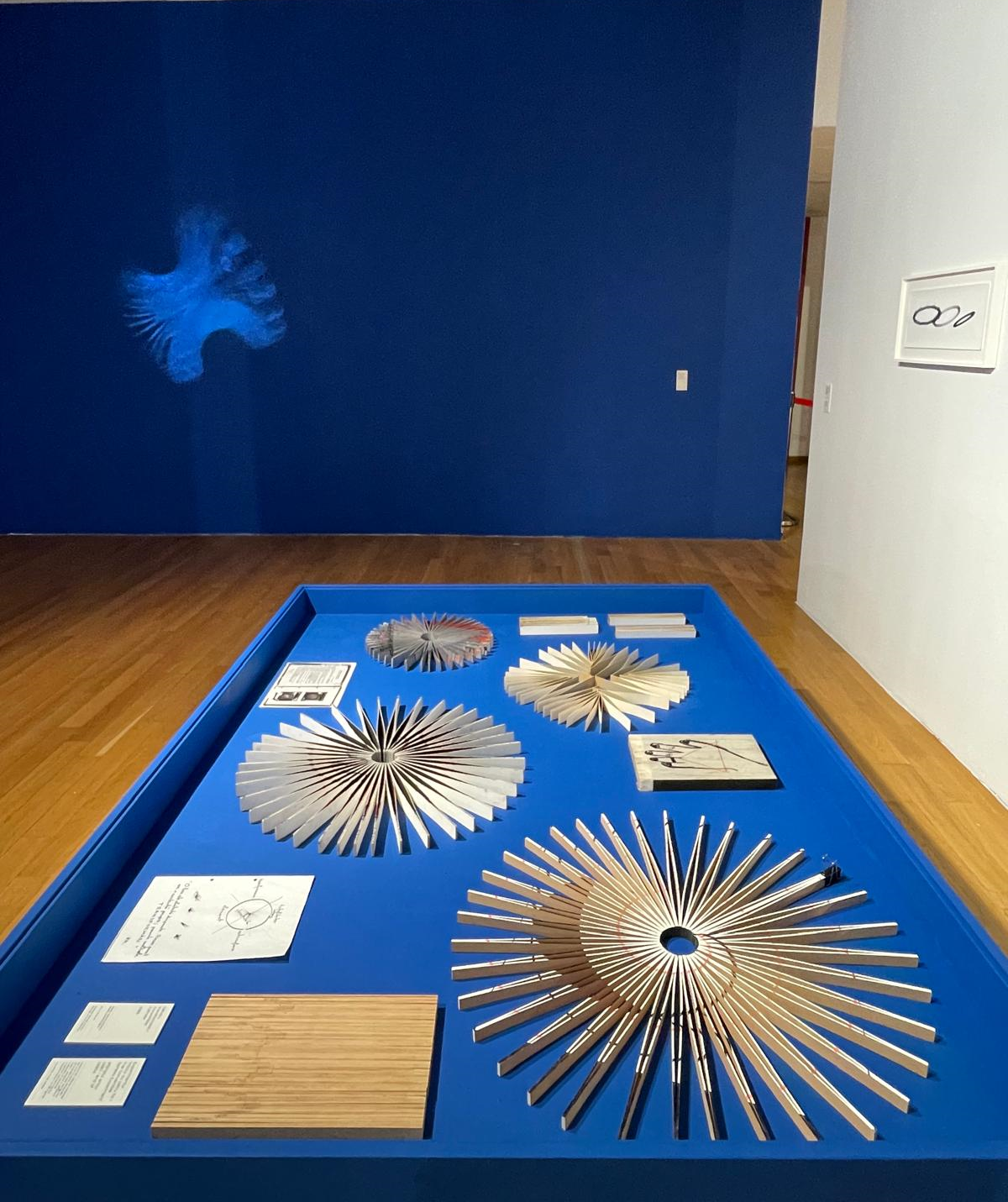 laurențiu ruță, revelare continuă, obiecte, mnac, curatorial