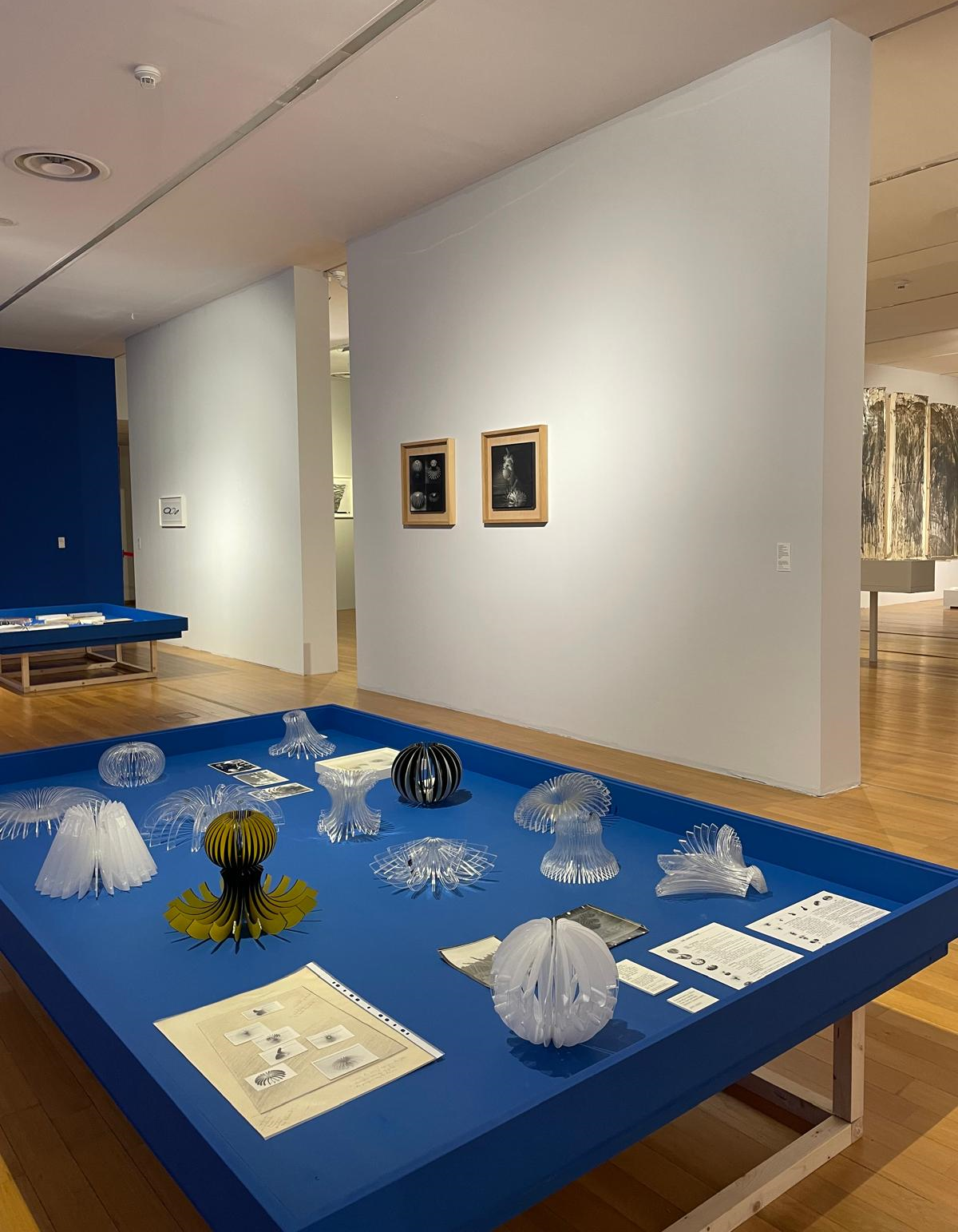 obiecte, laurențiu ruță, revelare continuă, mnac, curatorial