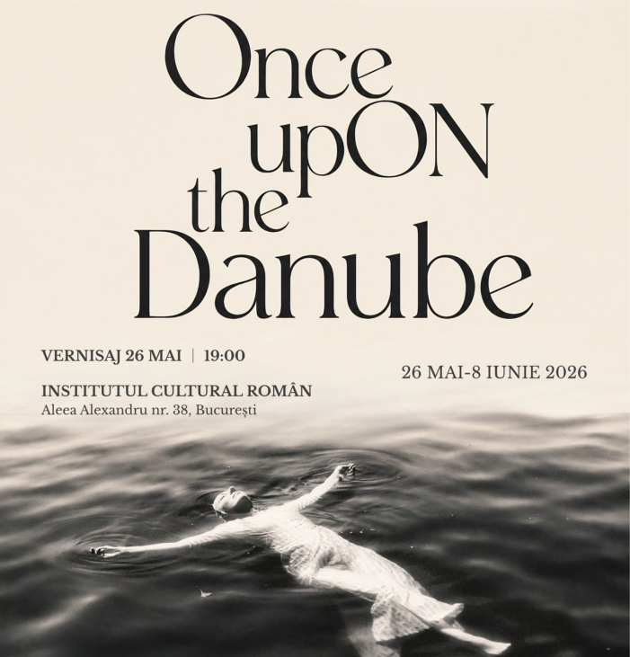 once upon the danube, expozitie, icr, celula de arta