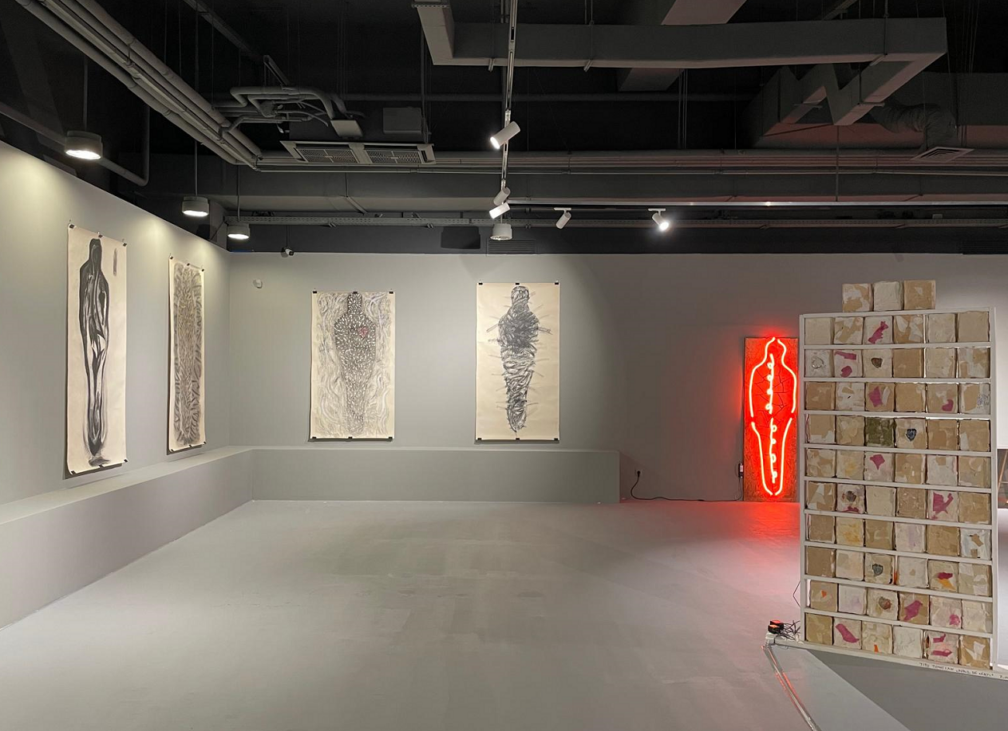 titu toncian 1, mnac, curatorial