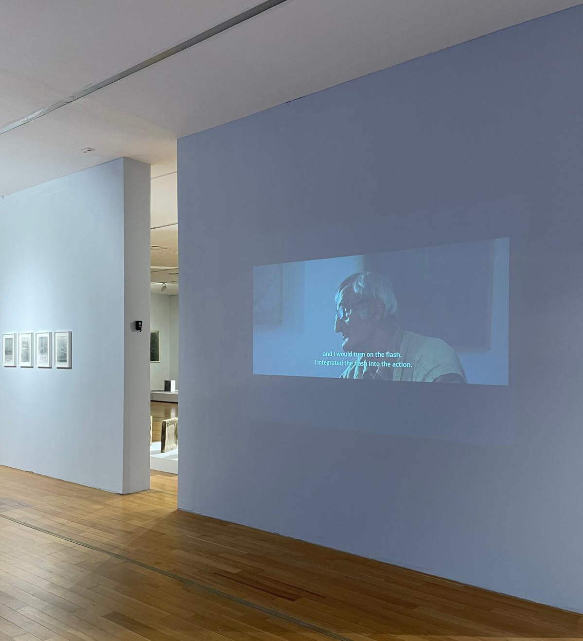 video laurențiu ruță, revelare continuă, mnac, curatorial