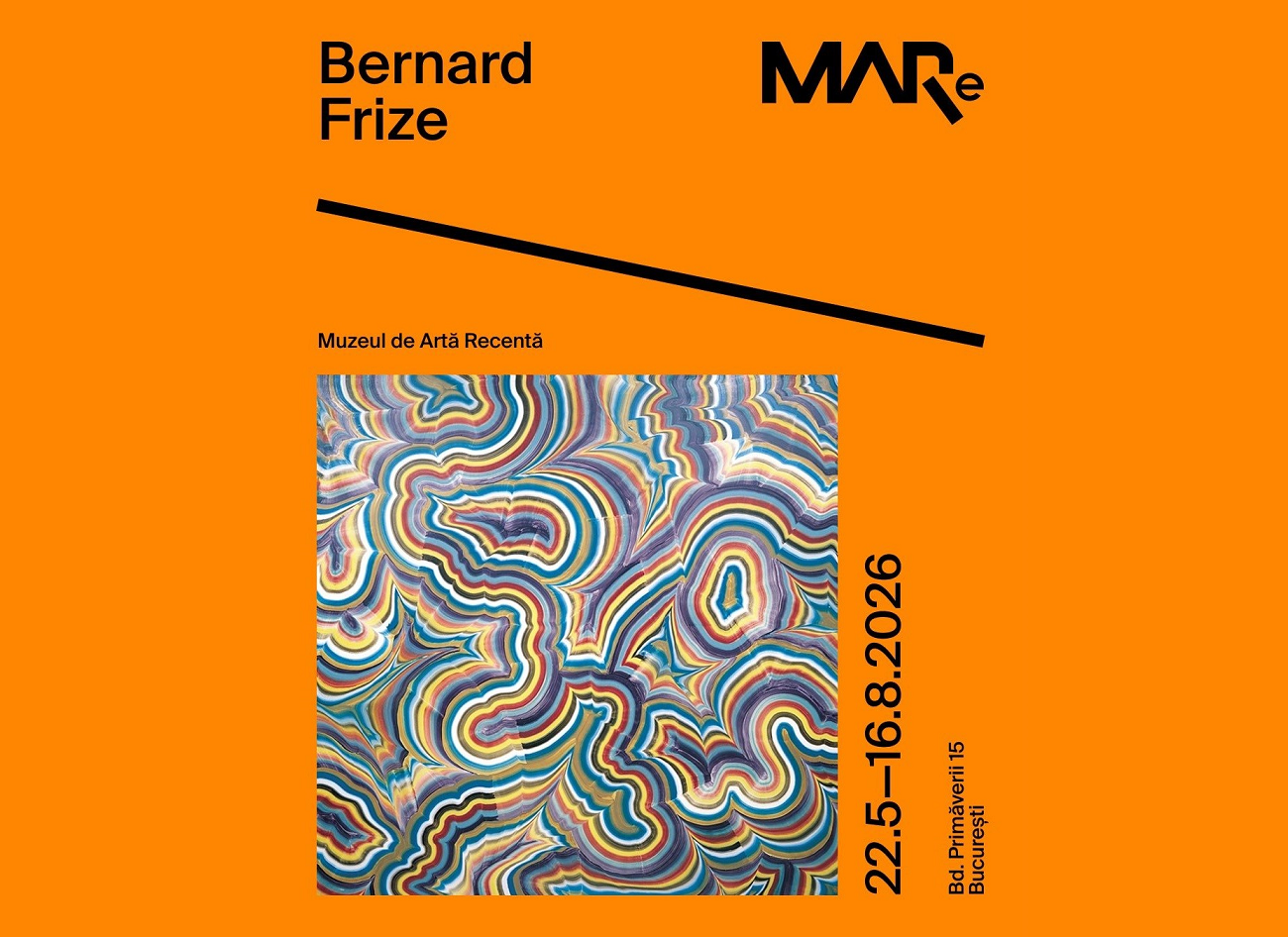 bernard frize, brent, mare