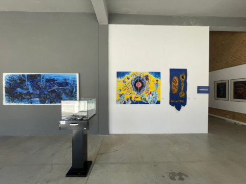 albastru, indigo, combinatul fondului plastic, curatorial