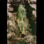 ana mendieta
