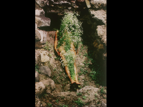 ana mendieta