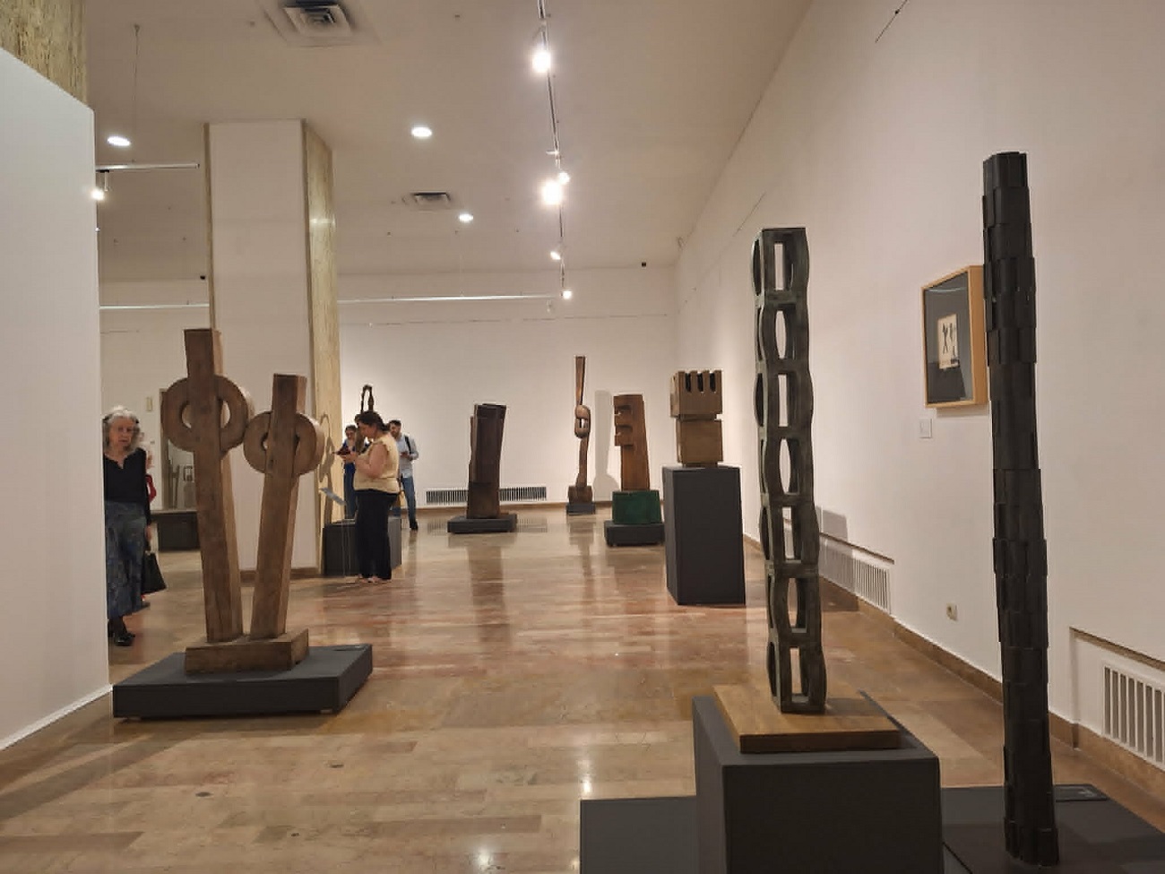 brancusi sindromul 5, curatorial