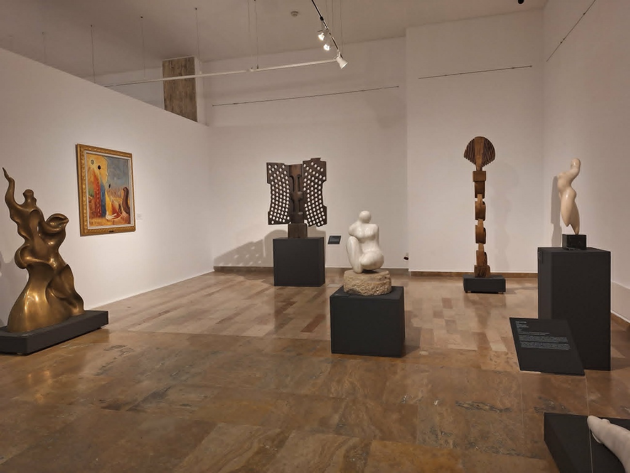 brancusi sindromul8, curatorial