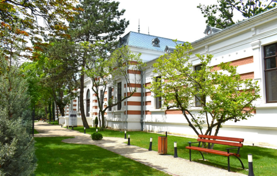 centrul muzeal „i. c. brătianu” buzau