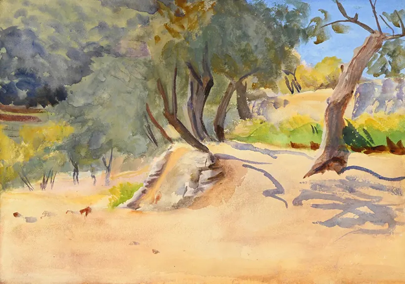 emily sargent, olive grove