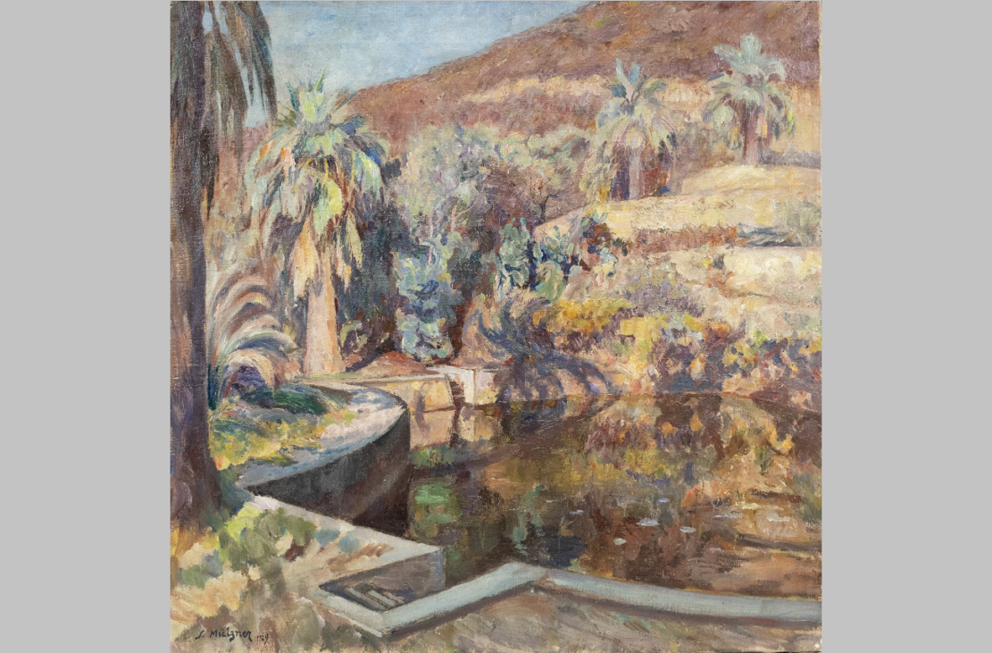 gradina cu palmieri, samuel mutzner