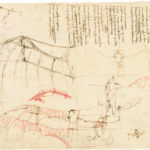 leonardo da vinci, studii pentru mașina zburatoare, 1490 1495, codex atlanticus
