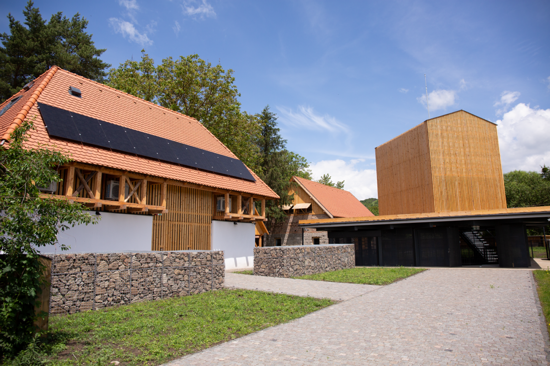 limesparc 1, mures, curatorial