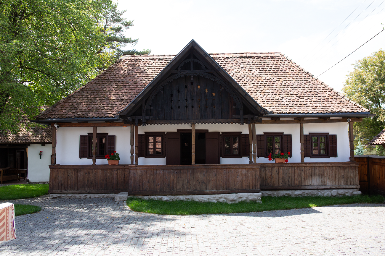 limesparc 2, mures, curatorial