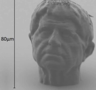 michel paysant, la tete imprimee en 3d, 2018