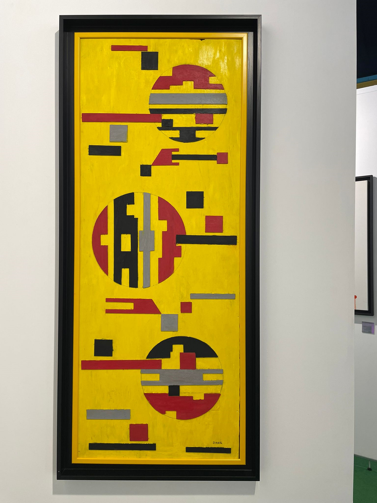 sandu darie, curatorial