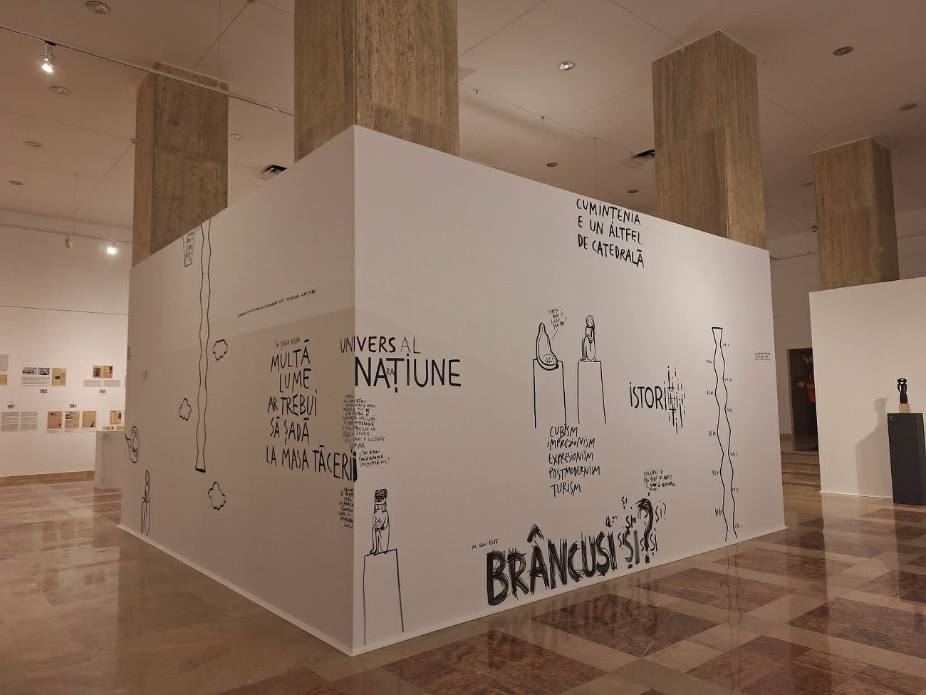 brancusi sindromul 4, curatorial