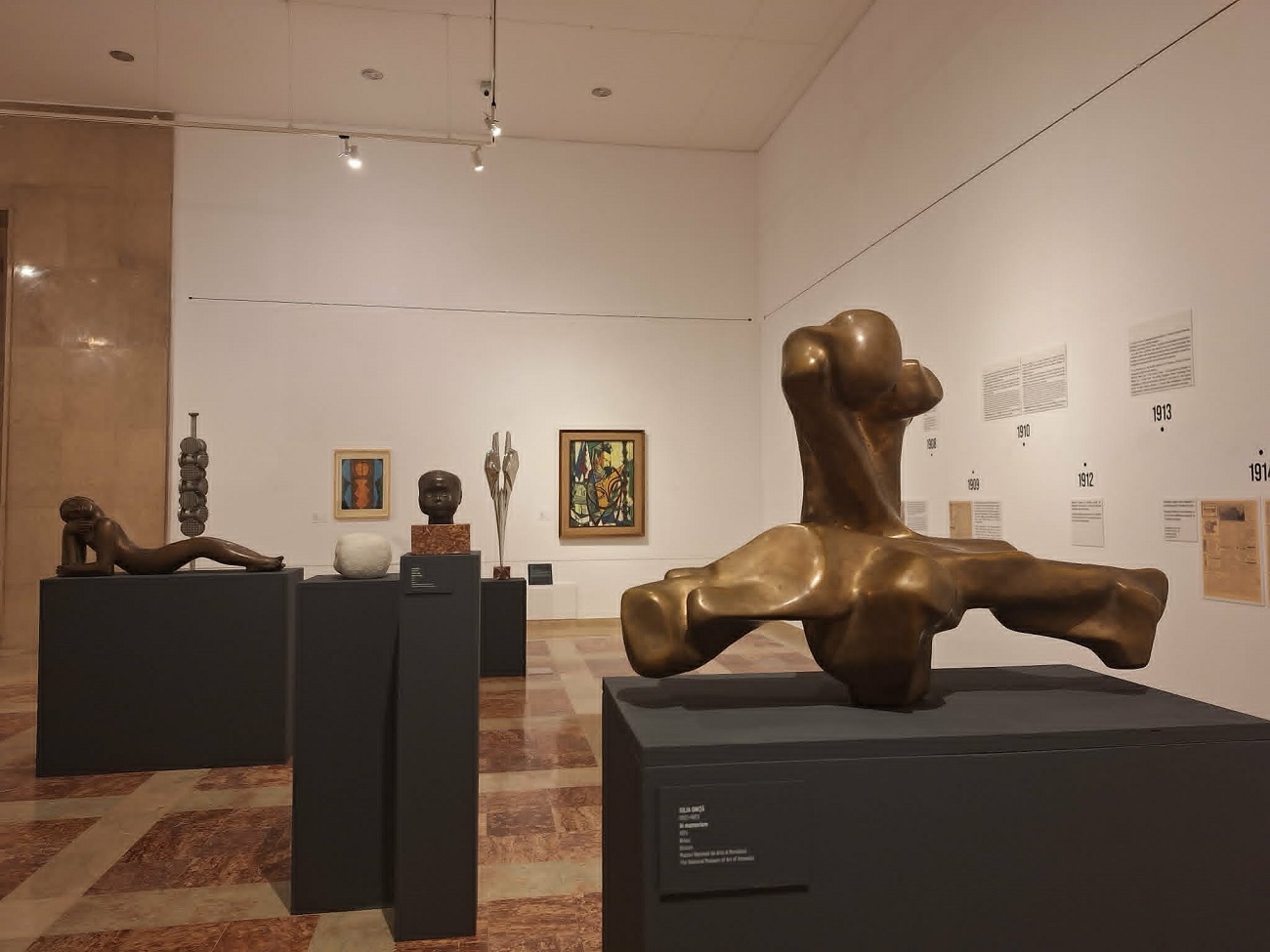 brancusi sindromul curatorial