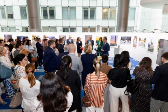 expozitie