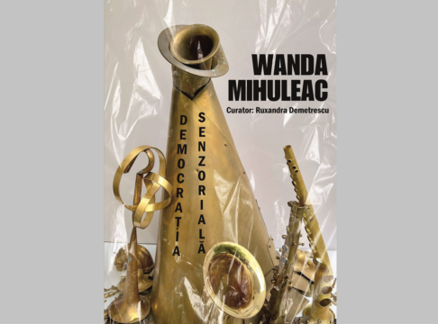 expozitie wanda mihuleac, craiova