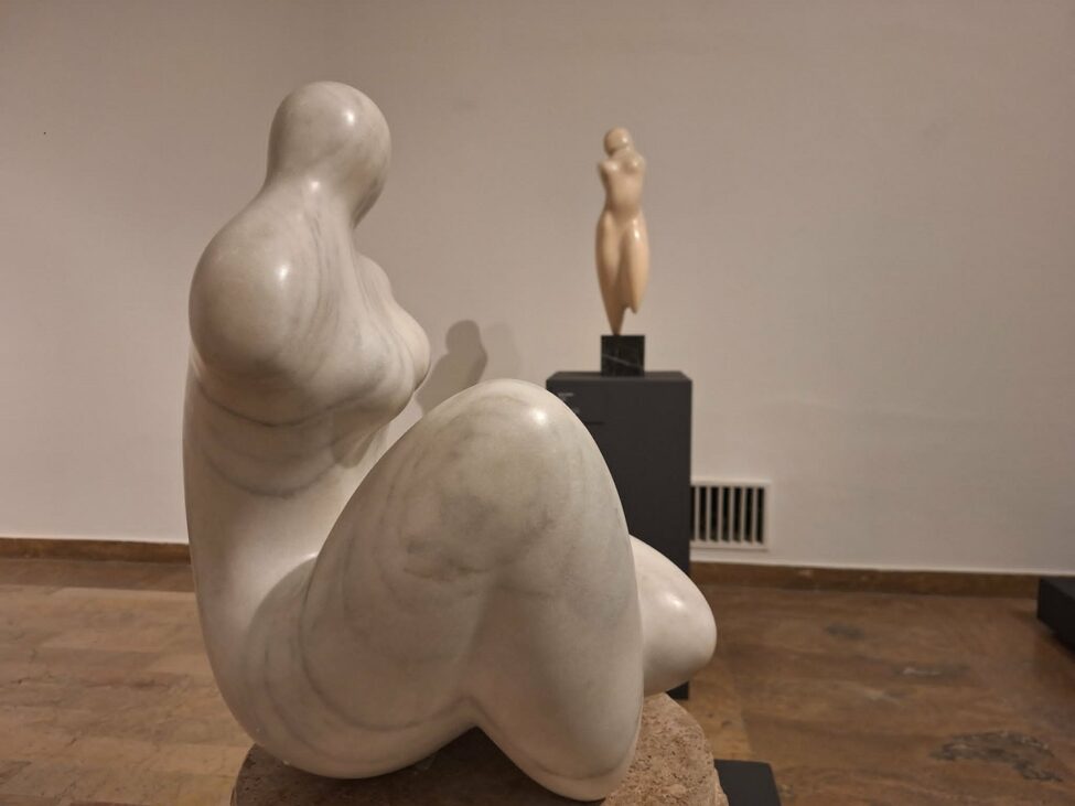 marcel guguianu, curatorial