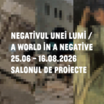 negativul unei lumi, salonul de proiecte