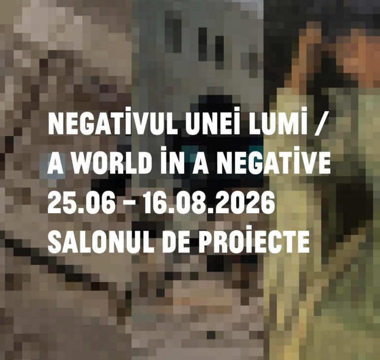 negativul unei lumi, salonul de proiecte