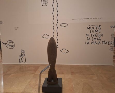sindromul brancusi0, curatorial