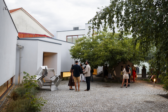 vernisajul quarks, leptons & bosons, summer show, august, 2023, jecza