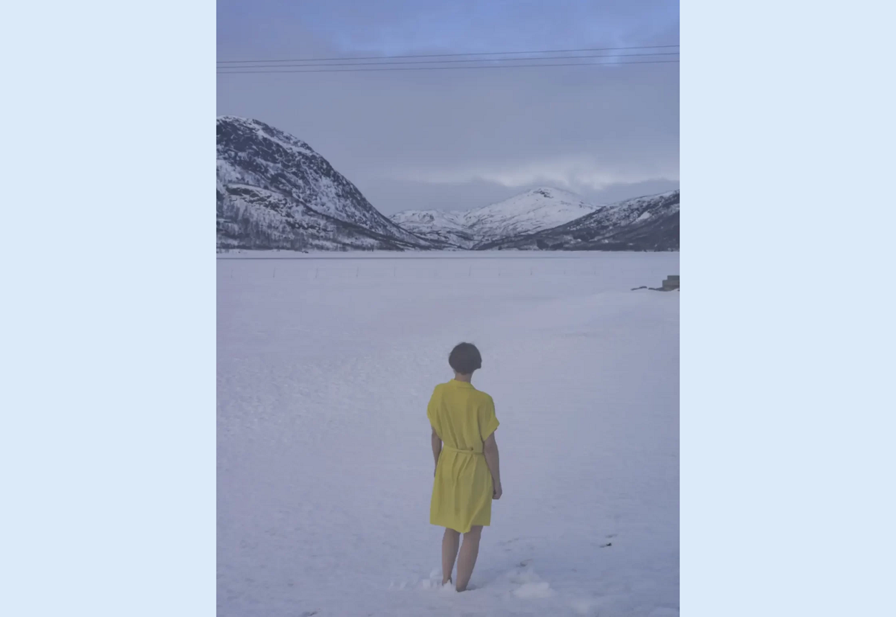 elina brotherus, yellow in snow, 2019
