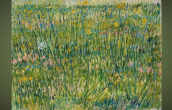 coin dherbe, van gogh