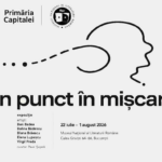 un punct in miscare, mnlr