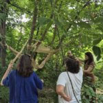 embodied garden