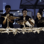 international programme in scenography