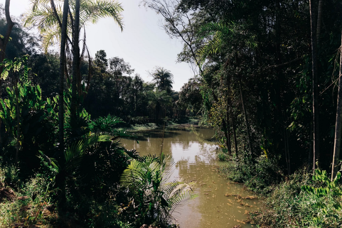 muzeu paz, brumadinho, brazilia