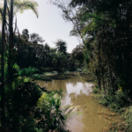 muzeu paz, brumadinho, brazilia