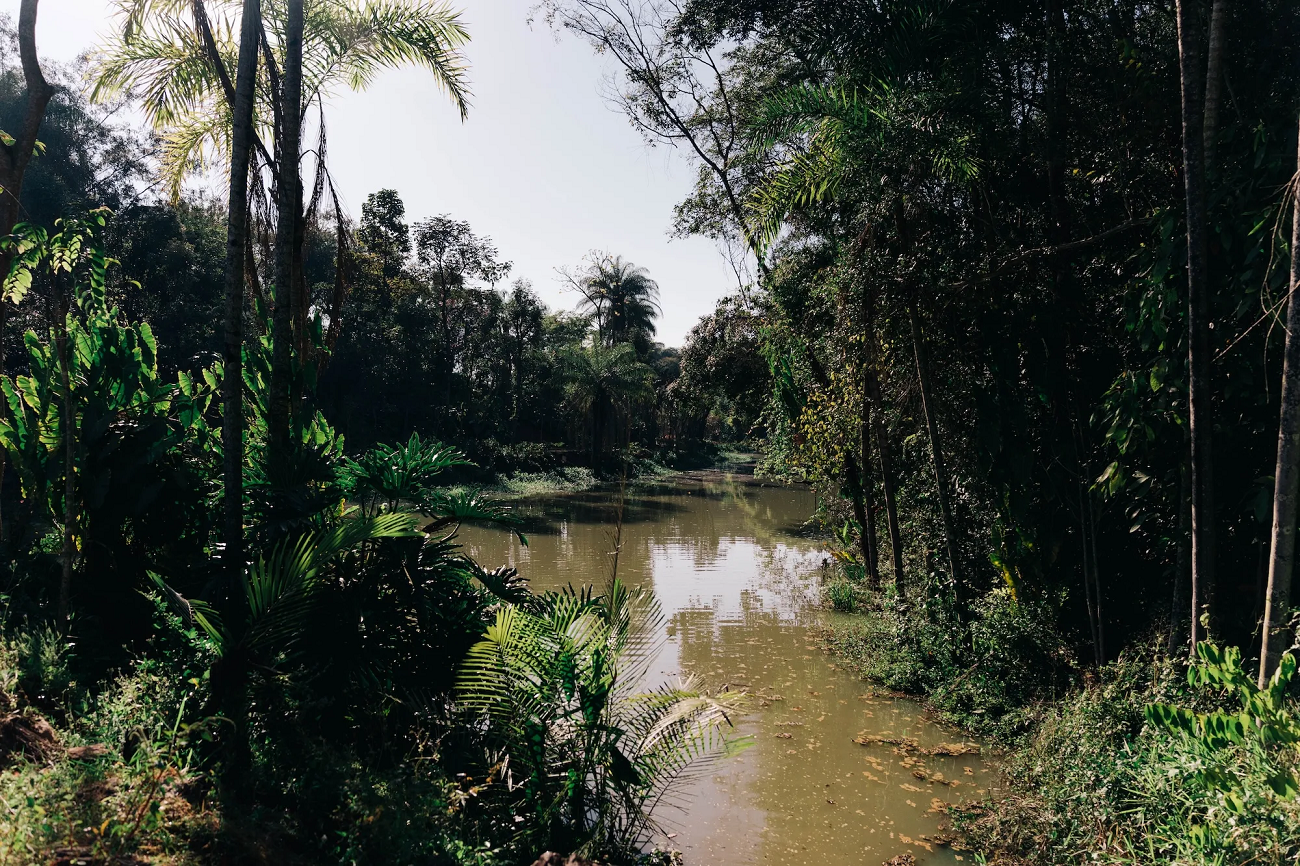 muzeu paz, brumadinho, brazilia