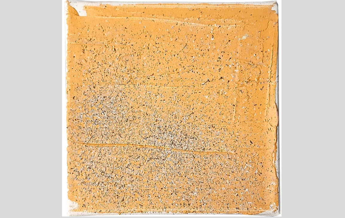 seeds 11, adrian dică