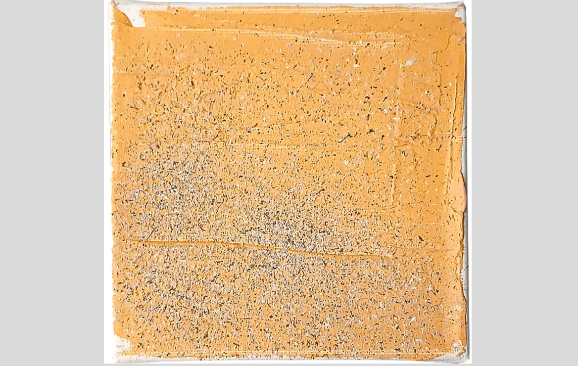 seeds 11, adrian dică